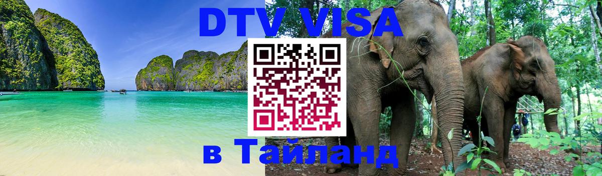 Сколько стоит DTV виза — актуальные цены, оформление даже без документов - 